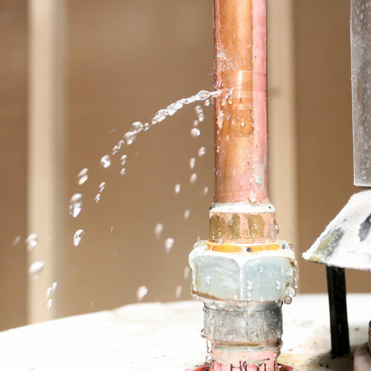 Professional Water Leak Detection Professional Water Leak Detection