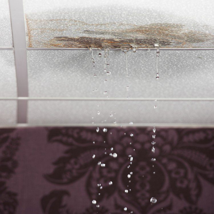 Professional Water Leak Detection Professional Water Leak Detection