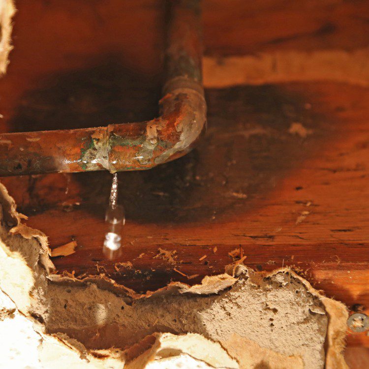 Slab Leak Inspect & Repairs Slab Leak Inspect & Repairs