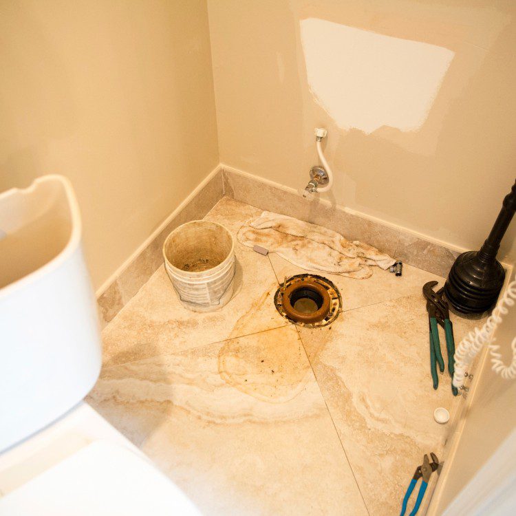 Toilet Repairs from a Master Plumber Toilet Repairs from a Master Plumber