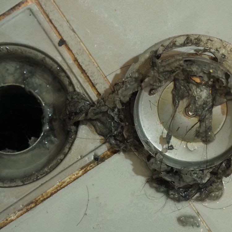 Sewer & Drain Backup Sewer & Drain Backup